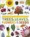 Our World in Pictures: Trees, Leaves, Flowers & Seeds by DK