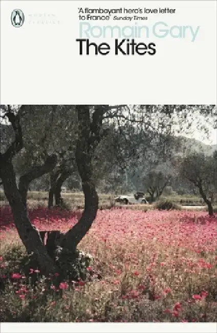 The Kites by Romain Gary