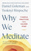 Why We Meditate by Daniel Goleman