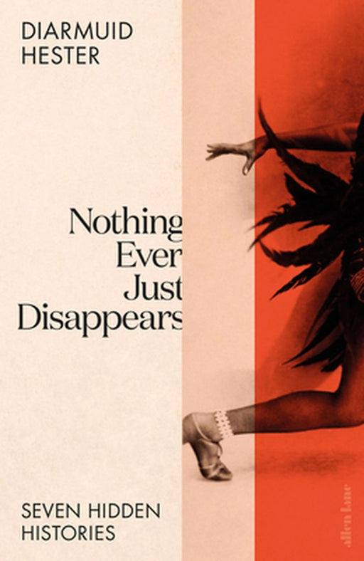 Nothing Ever Just Disappears by Diarmuid Hester