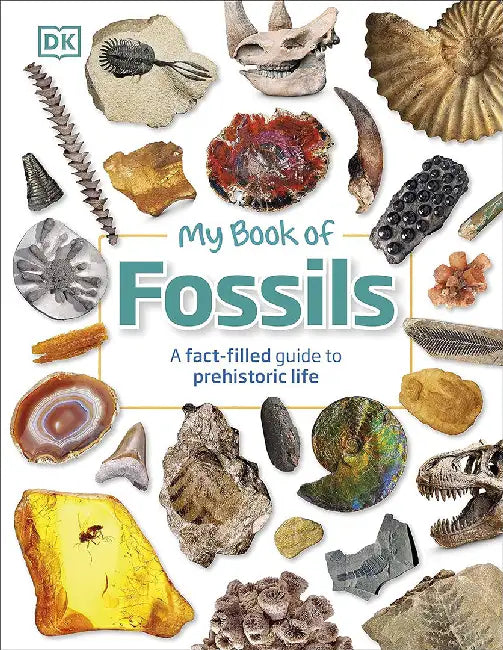 My Book of Fossils by DK