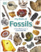 My Book of Fossils by DK