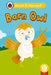 Barn Owl (Phonics Step 8): Read It Yourself - Level 0 Beginner Reader by Ladybird
