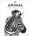 Animal by DK