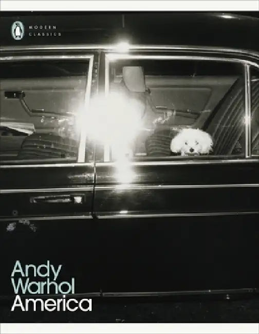 America by Andy Warhol