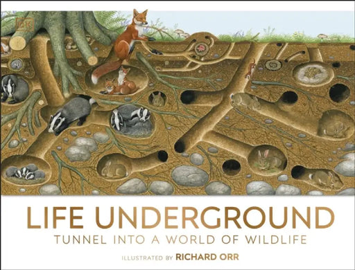 Life Underground by DK