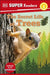 DK Super Readers Level 2 The Secret Life of Trees by DK