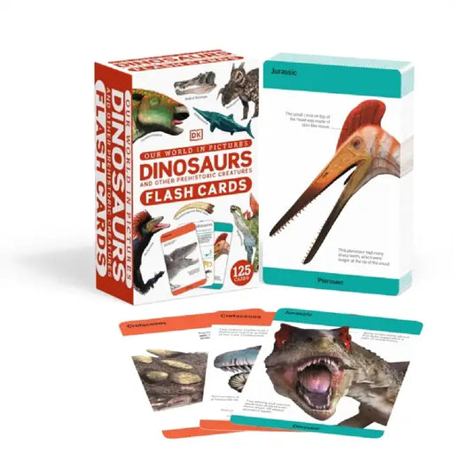 Our World in Pictures Dinosaurs and Other Prehistoric Creatures Flash Cards by DK