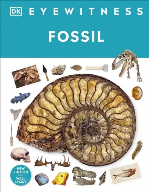 Fossil by Dr Paul David Taylor