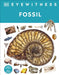Fossil by Dr Paul David Taylor