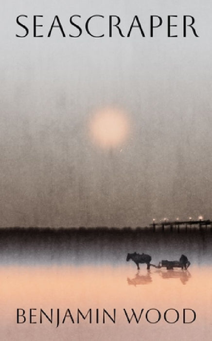 Seascraper by Benjamin Wood