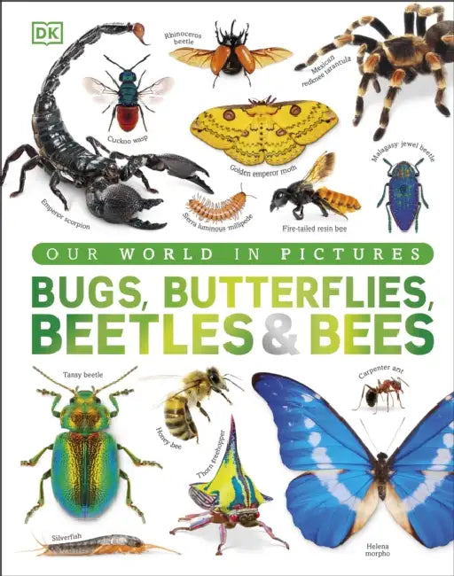 Our World in Pictures Bugs, Butterflies, Beetles and Bees by DK