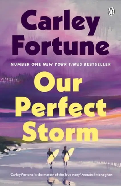 Our Perfect Storm by Carley Fortune