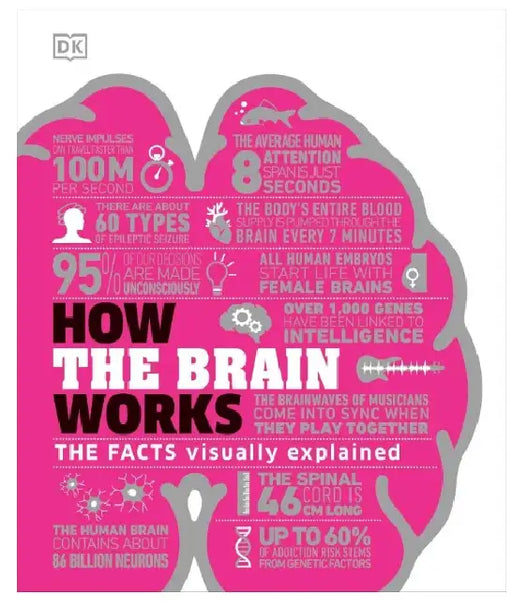 How Brain Works  by DK