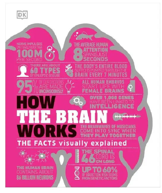 How Brain Works  by DK