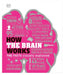 How Brain Works  by DK
