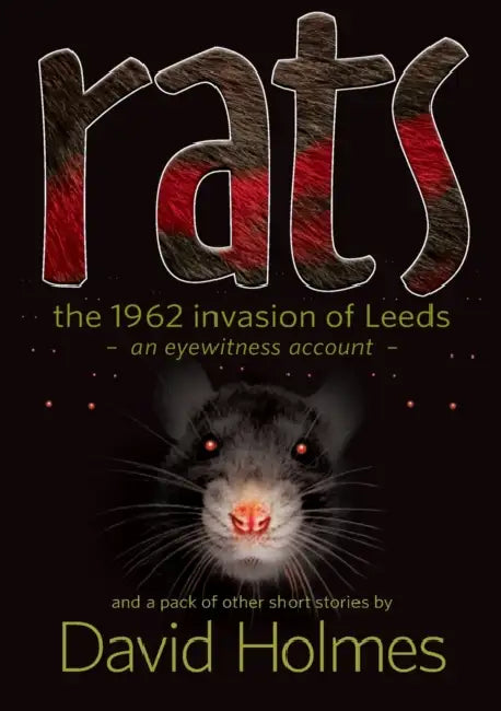 Rats by David Holmes