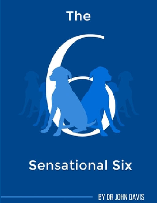 The Sensational Six by John Davis