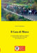 Il Cara di Mineo by Leone Venticinque