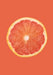 Food Sonnets by Mark Staniforth