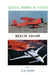 Kites, Birds & Stuff - BEECH Aircraft by P. D. Stemp