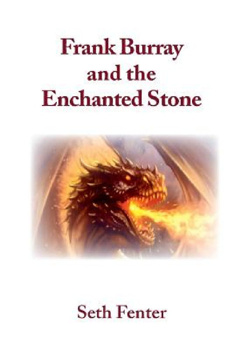 Frank Burray and the Enchanted Stone by Seth Fenter