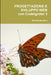 Progettazione e Sviluppo Web con CodeIgniter 3 by Roberto Bandiera