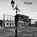 Moglia by Hannibal Height