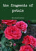 The fragments of petals by Rachel Bartolo