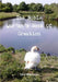 The Noble Qur'an's Book Of Creation by Tekel Makonnen