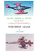 Kites, Birds & Stuff - Northrop Aircraft by P. D. Stemp