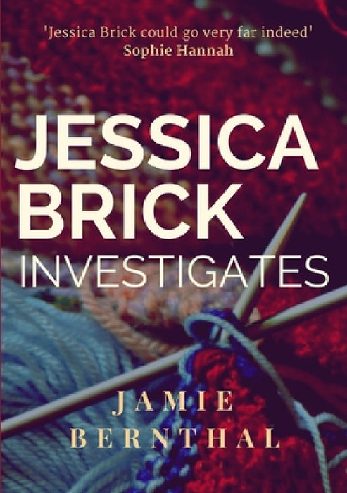 Jessica Brick Investigates by Jamie Bernthal