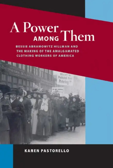 A Power Among Them: Bessie Abramowitz Hillman and the Making of the Amalgamated Clothing Workers of America by Karen Pastorello