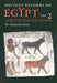 Ancient Records of Egypt: Vol. 2: The Eighteenth Dynasty Volume 2 by James Henry Breasted
