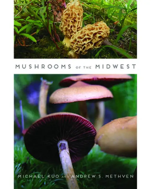 Mushrooms of the Midwest by Michael Kuo