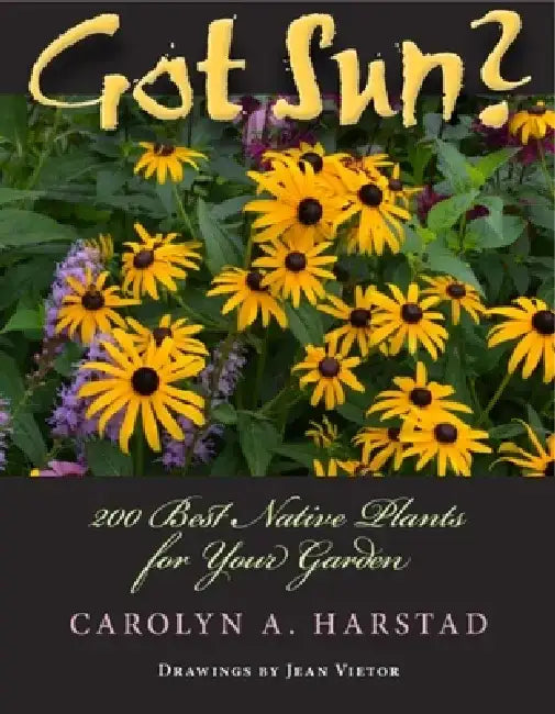 Got Sun?: 200 Best Native Plants for Your Garden by Carolyn A. Harstad
