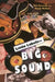 Little Labels Big Sound: Small Record Companies and the Rise of American Music by Rick Kennedy, Richard Lee Kennedy, Randy McNutt