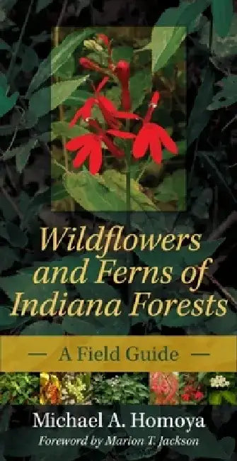 Wildflowers and Ferns of Indiana Forests: A Field Guide by Michael A. Homoya