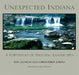 Unexpected Indiana: A Portfolio of Natural Landscapes by Ron Leonetti