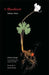 Bloodroot: Indiana Poems by Norbert Krapf