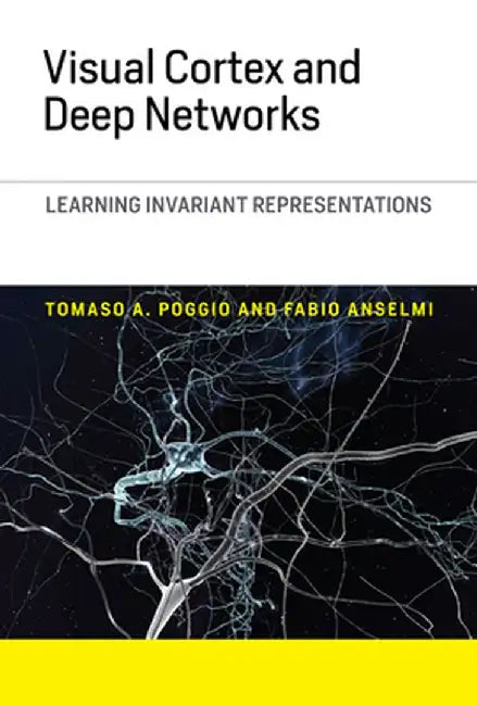 Visual Cortex and Deep Networks: Learning Invariant Representations by Tomaso A. Poggio