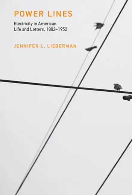 Power Lines: Electricity in American Life and Letters, 1882-1952 by Jennifer L. Lieberman