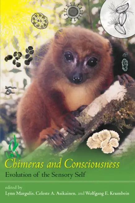 Chimeras and Consciousness: Evolution of the Sensory Self by Lynn Margulis, Celeste A. Asikainen, Wolfgang E. Krumbein