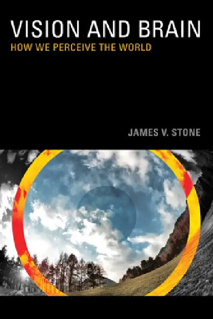 Vision: How We Perceive the World by James V. Stone