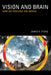 Vision: How We Perceive the World by James V. Stone
