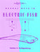 Neural Nets in Electric Fish by Walter Heiligenberg, Mark Konishi