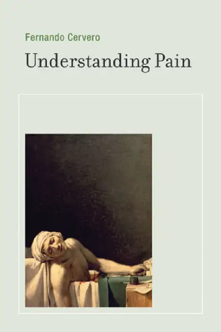 Understanding Pain: Exploring the Perception of Pain by Fernando Cervero