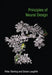 Principles of Neural Design by Peter Sterling