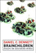 Brainchildren: Essays on Designing Minds by Daniel C. Dennett