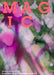 Magic by Jamie Sutcliffe